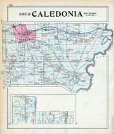 Caledonia Town, Livingston County 1902